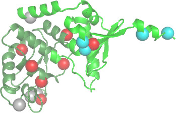 La biologie structurale en soutien de l’aide au diagnostic