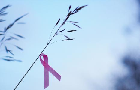 Taux de participation au programme national de dépistage du cancer du sein en 2012