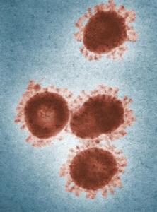 La période d’incubation du nouveau coronavirus est de neuf à douze jours