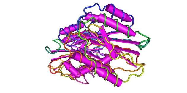 Un nouveau stéthoscope biologique pour les maladies du cœur Un nouveau stéthoscope biologique pour les maladies du cœur