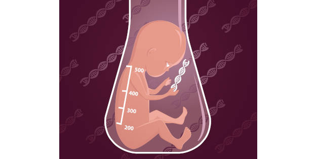 Modification génétique des embryons : position du CCNE