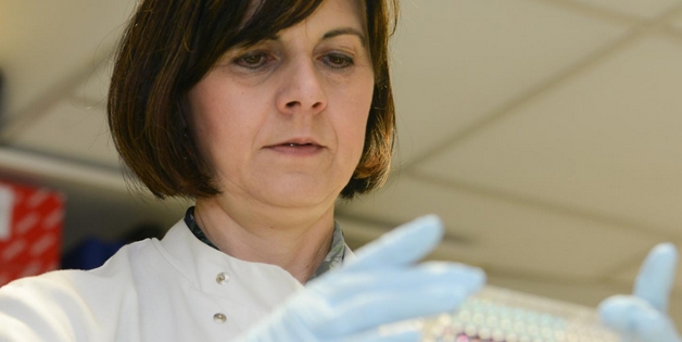 Crédit photo : © Pancreatic Cancer Research Fund