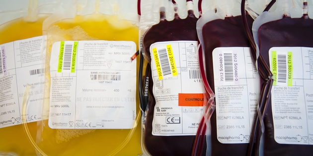 Projet de loi de santé : les députés lèvent l’exclusion des hommes homosexuels du don du sang