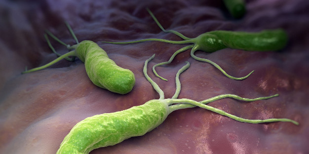 Pertinence des actes chez un patient adulte infecté par Helicobacter pylori