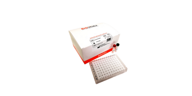 Test PCR Ampliquick SARS-CoV-2 ©Biosynex