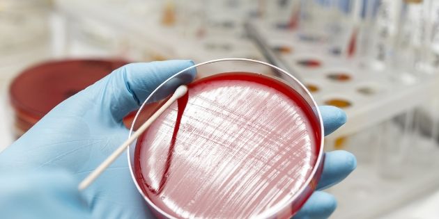 Vers de nouveaux antibiotiques