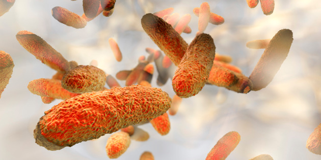 ©Dr_Microbe-istock