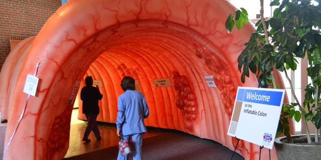 Des études françaises mesurent le bénéfice du dépistage du cancer colorectal Des études françaises mesurent le bénéfice du dépistage du cancer colorectal