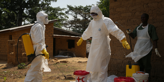 Maladie à virus Ebola : évaluation du dispositif de surveillance renforcée en France de mars à décembre 2014