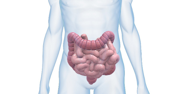 Flore intestinale : un marqueur de sévérité du syndrome de l’intestin irritable ?