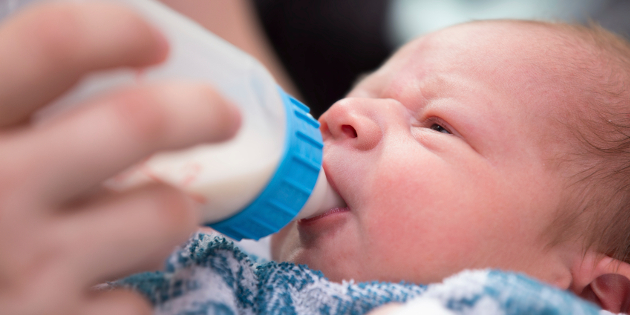 Décès de bébés prématurés par infection bactérienne à Bacillus cereus Décès de bébés prématurés par infection bactérienne à Bacillus cereus