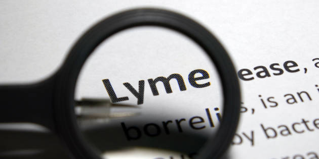Maladie de Lyme : vers une actualisation des recommandations ?