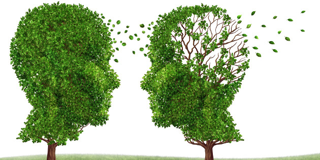 Découverte de onze nouveaux facteurs de susceptibilité génétique dans la maladie d’Alzheimer