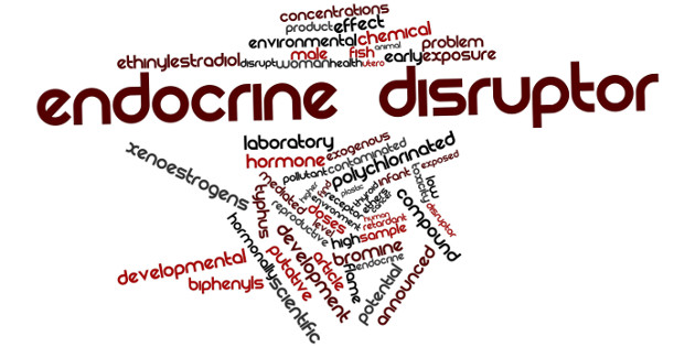 Les chercheurs s’accordent sur les critères d’identification des perturbateurs endocriniens Les chercheurs s’accordent sur les critères d’identification des perturbateurs endocriniens