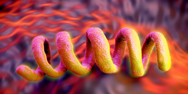 Arrêt de commercialisation de plusieurs réactifs utilisés dans l’aide au diagnostic de la syphilis Arrêt de commercialisation de plusieurs réactifs utilisés dans l’aide au diagnostic de la syphilis