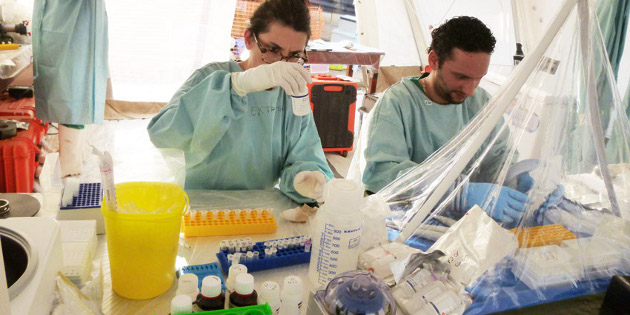 La manipulation du virus Ebola autorisée par dérogation dans les installations de niveau de confinement 3