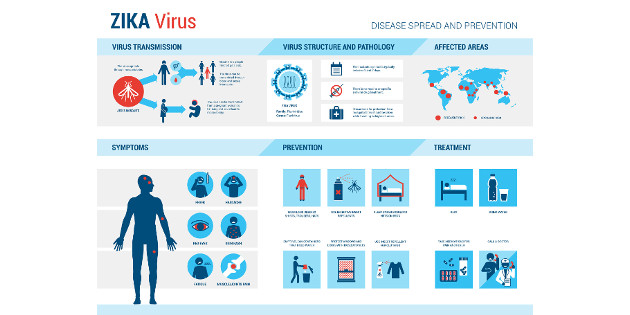 Zika : le risque d’épidémie en Europe est limité Zika : le risque d’épidémie en Europe est limité