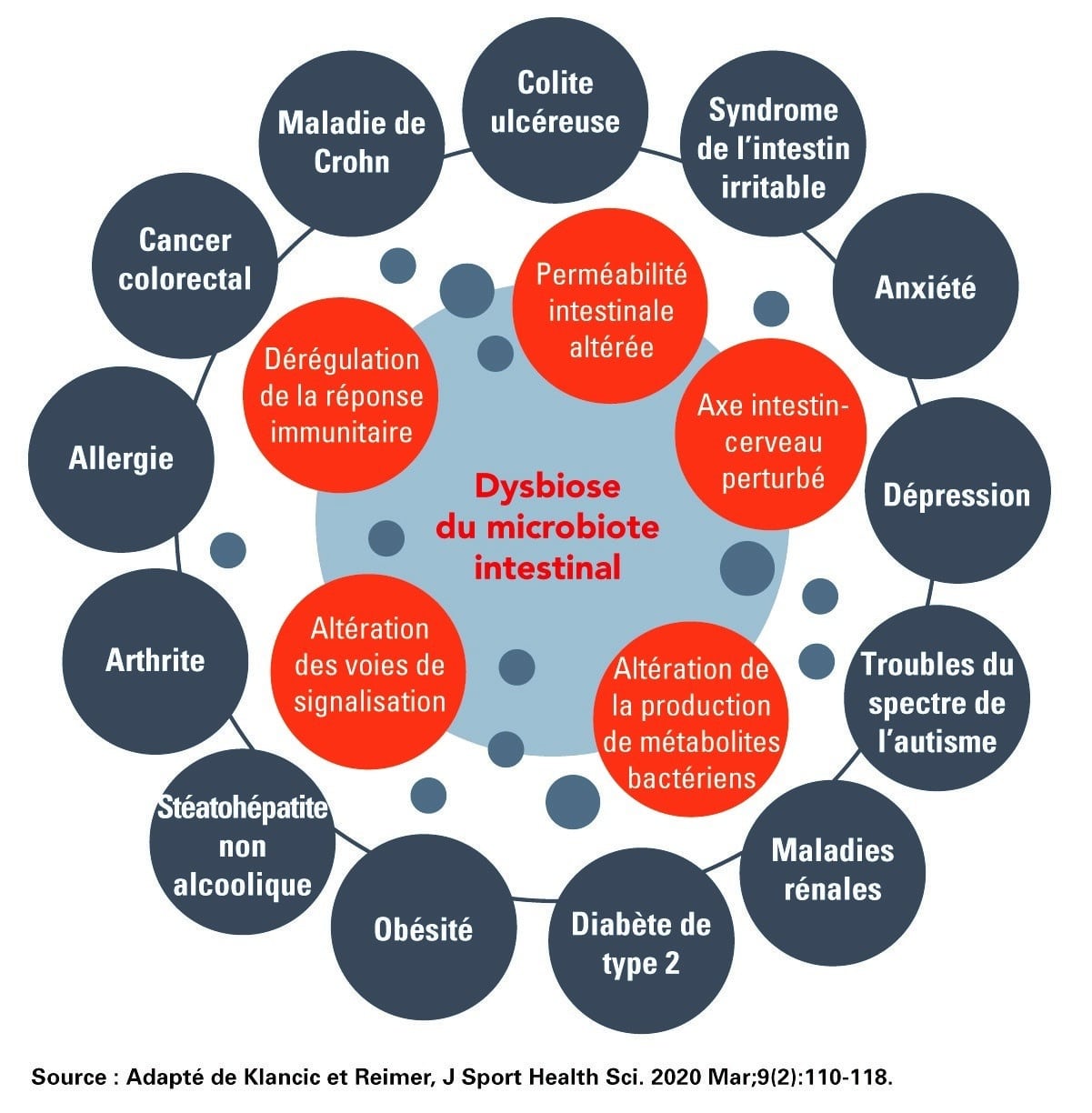 Analyse du microbiome intestinal quelle place pour le biologiste ?