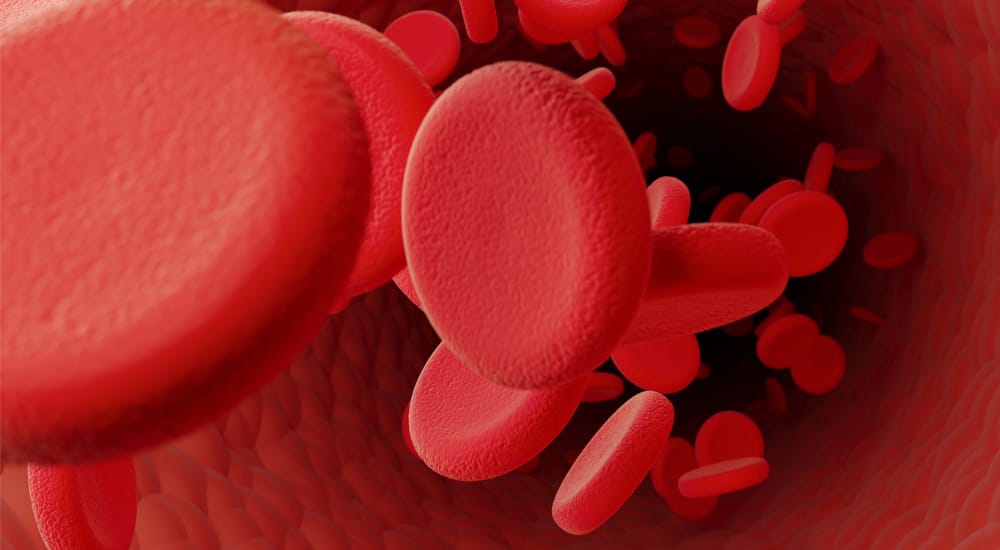 Identifier les biomarqueurs peptidiques de la coagulation