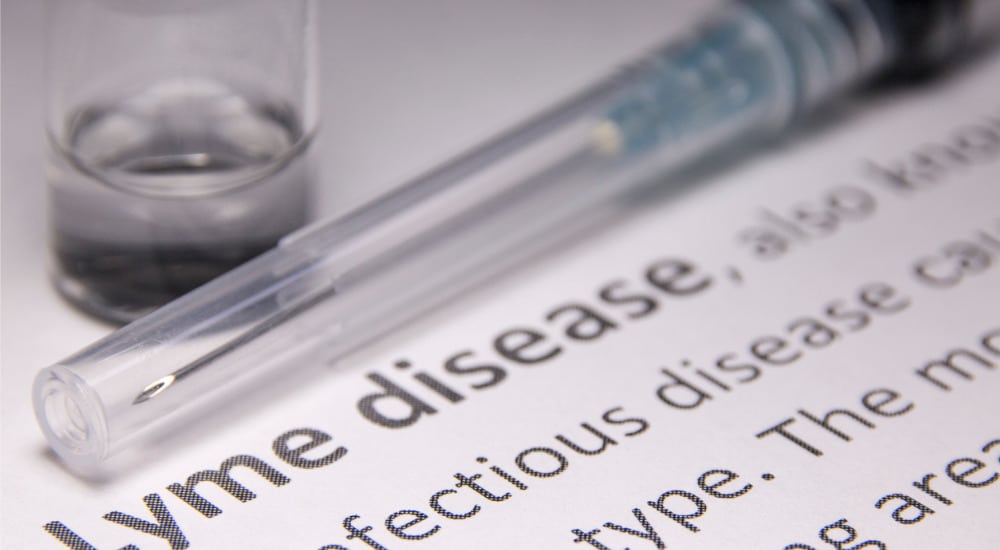 Une piste vaccinale pour la maladie de Lyme