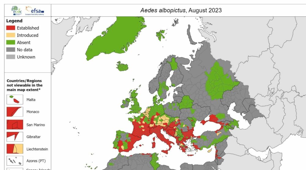 Dengue en Europe : de nouveaux cas autochtones