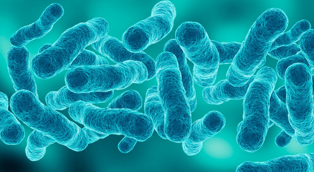 Vue 3D microscopique de Legionella pneumophila