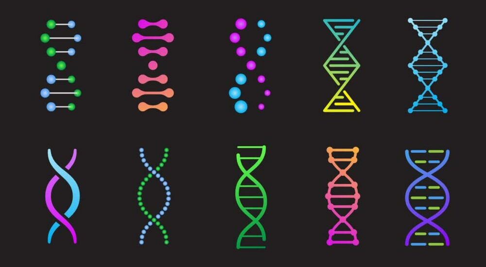 ADN sous forme d'icones de différentes couleurs