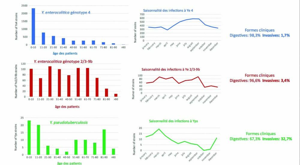 Répartition des infections à Yersinia selon les souches, l'âge et la saisonnalité. Données issues de l'étude du CNR peste et yersinioses de l'Institut Pasteur entre 2018 et 2022.