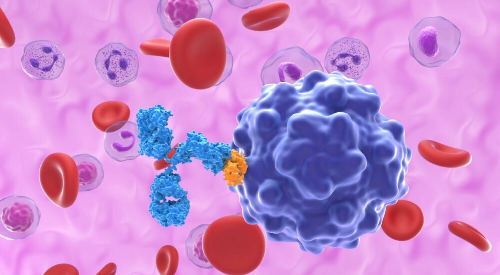Parvovirus B19,épidémiologie