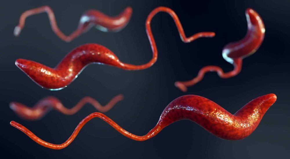 campylobacter,jejuni,coli,ureolyticus
