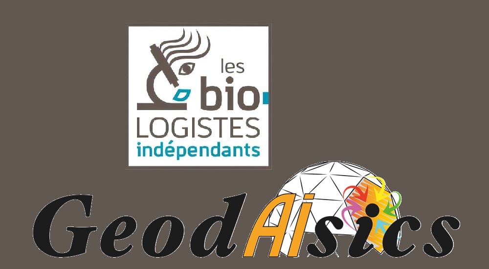 LBI,GeodAIsics,Diagnostics