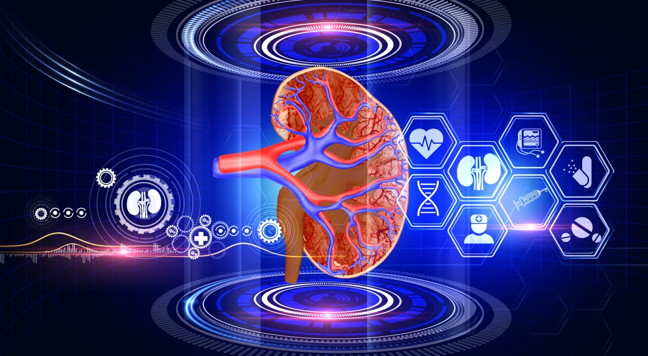 Roche,KlinRisk,MRC,KFRE,CKD