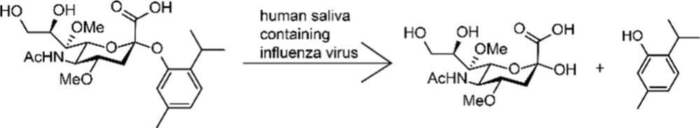 Grippe,chewing-gum,neuraminidase