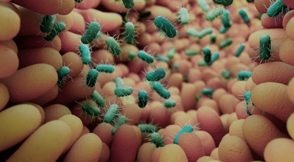 cadavérine,indole-3-propionate,MICI